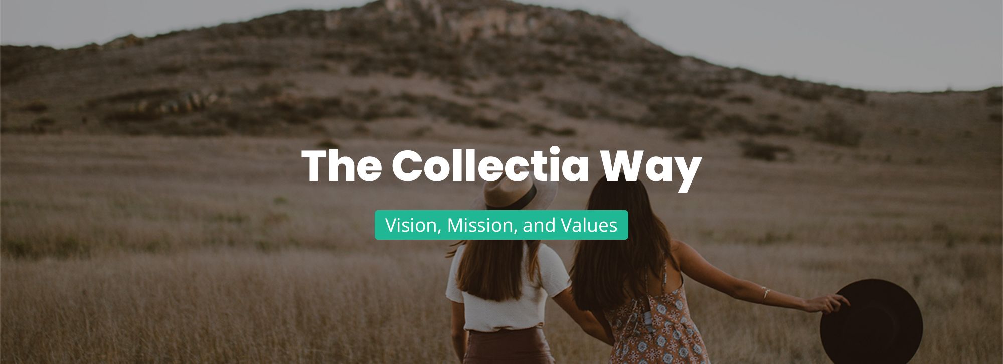 Redefining our corporate purpose - Vision Mission and Values - Collectia Group